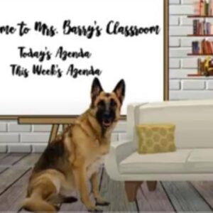 Reinvent the Room: Synchronous and Asynchronous Lesson Development (1 PDH Included)